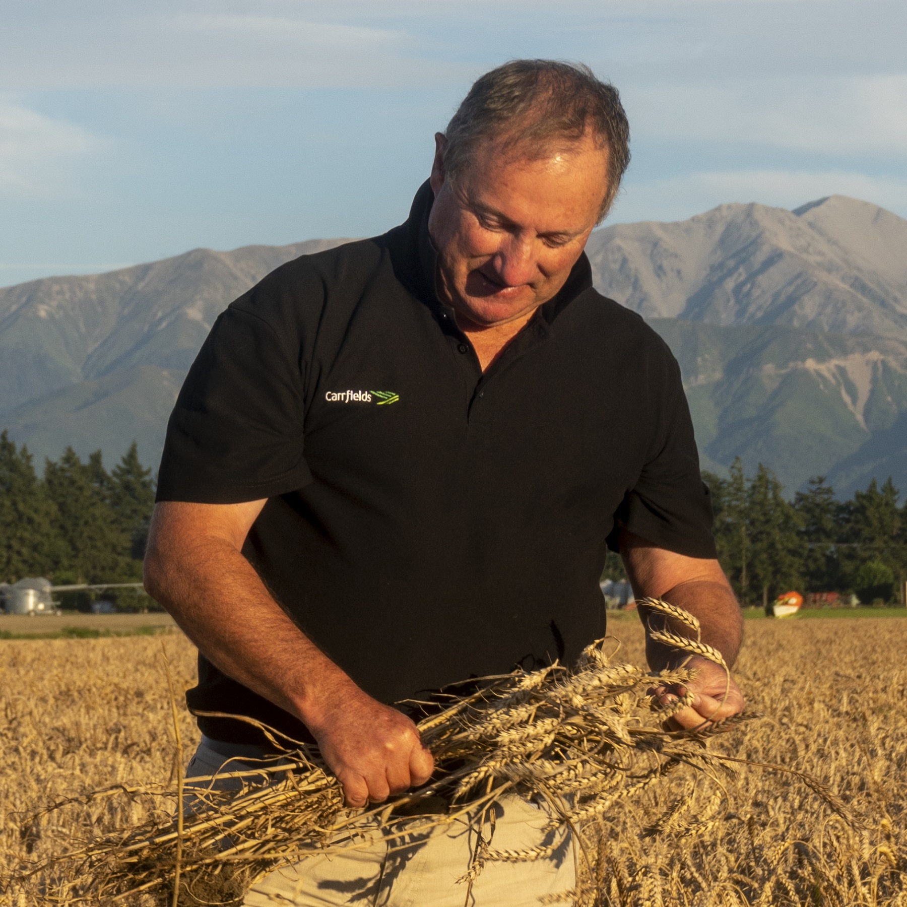 Phil Smith, Seed Cereal Manager at Carrfields in Ashburton