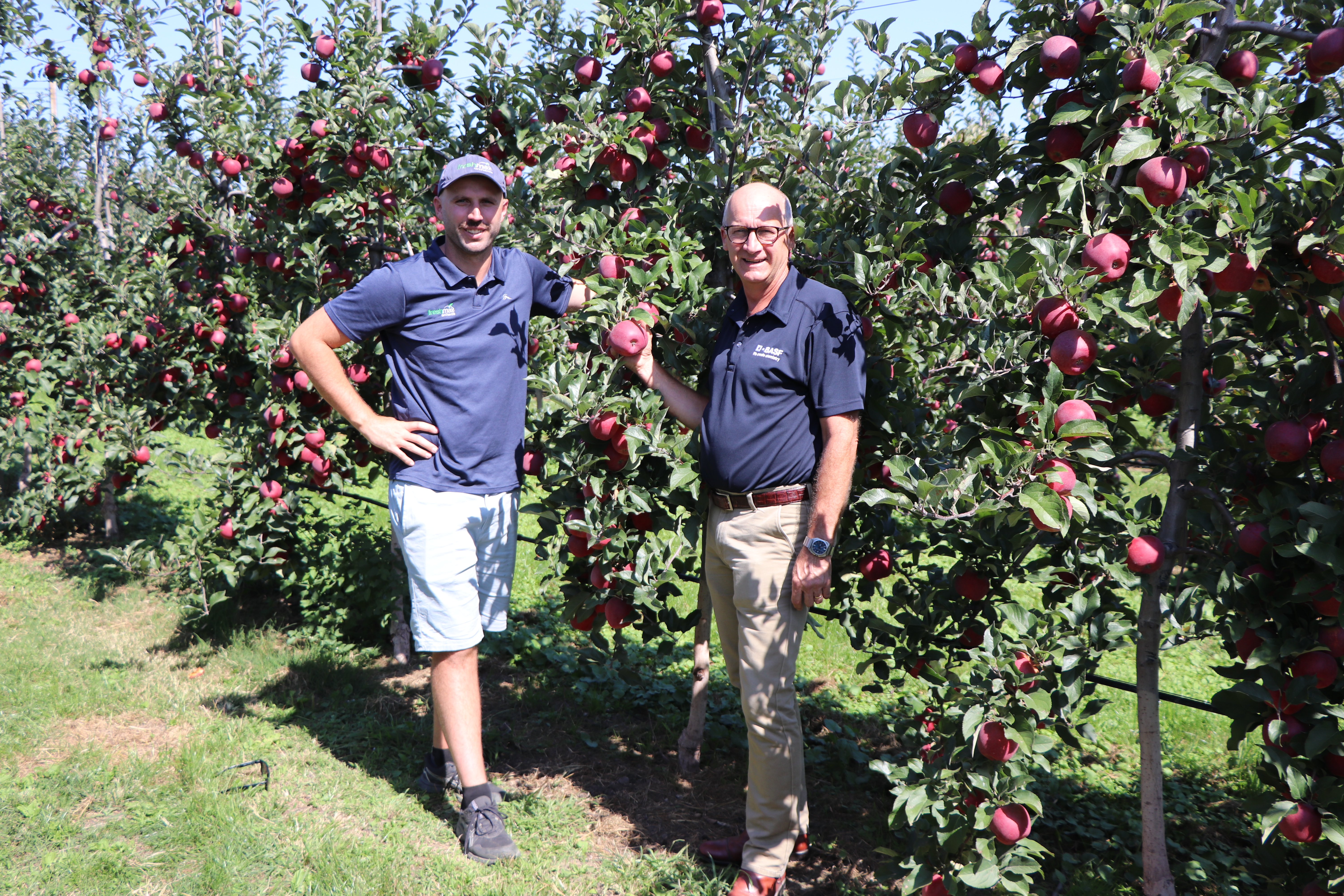 Shane Flynn and BASF technical specialist Tim Herman assessing the Dazzle crop at harvest time