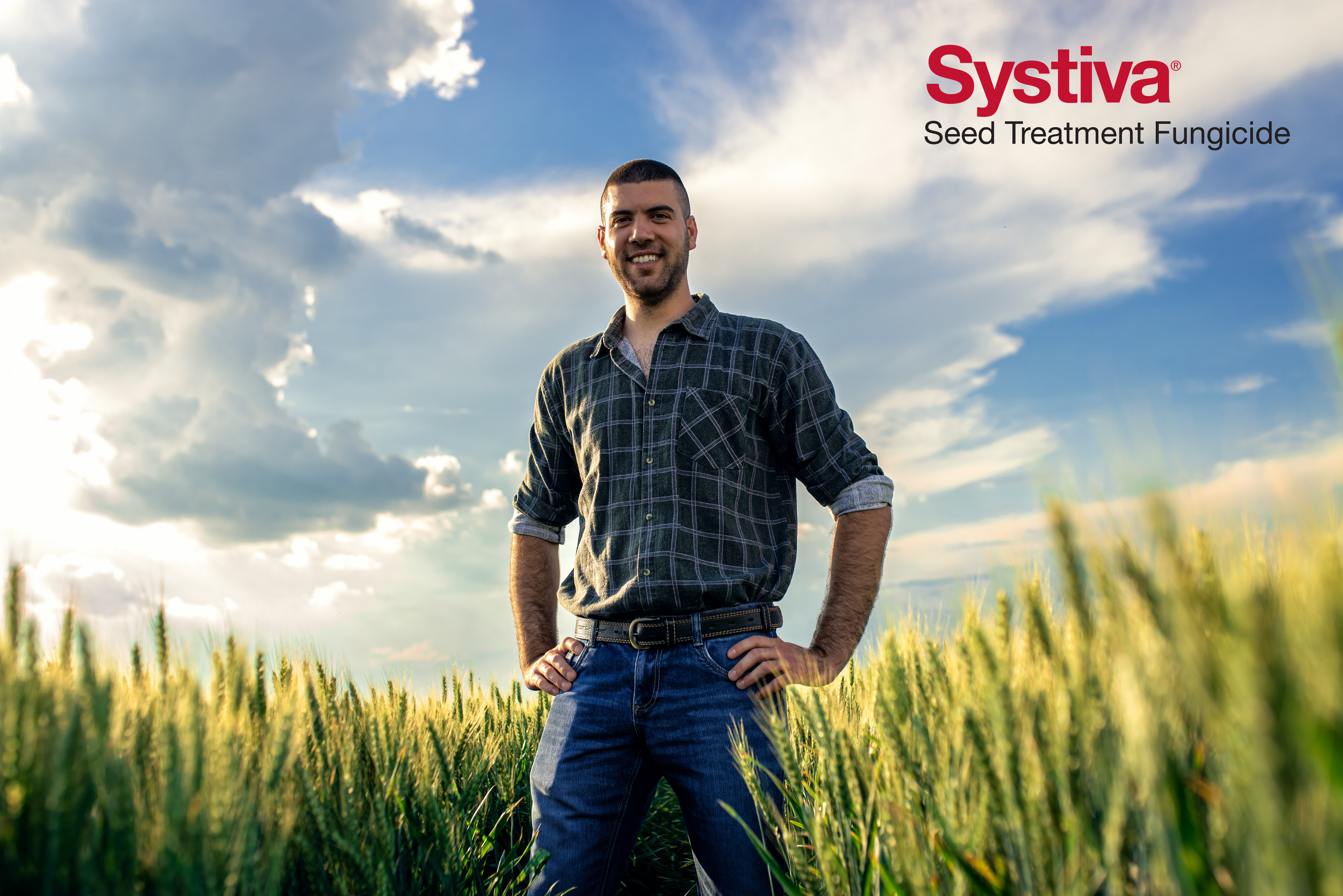 systiva man