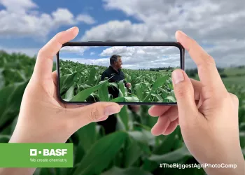 two hands holding an iphone taking a photo of a man standing in crops