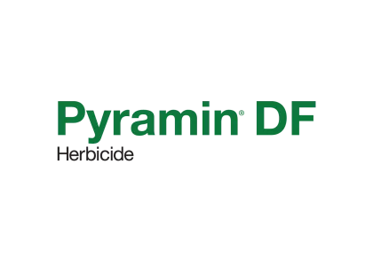 Pyramin DF logo