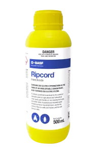 Ripcord