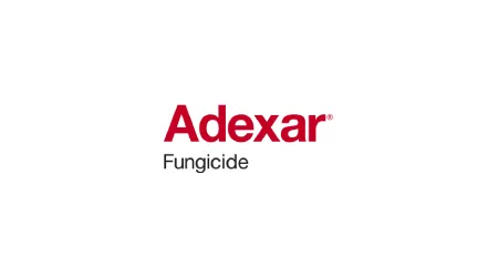 Adexar Product Logo
