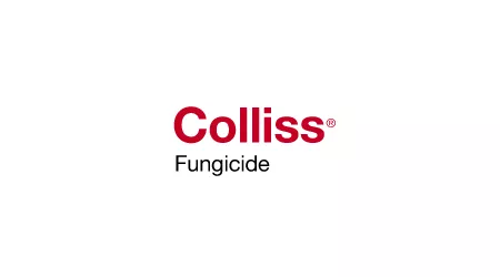 Colliss Fungicide by BASF - New Zealand