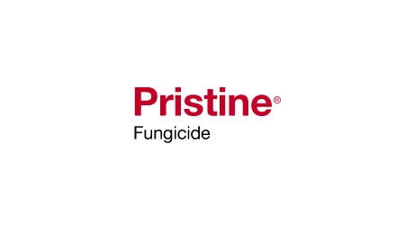 Pristine Fungicide by BASF - New Zealand